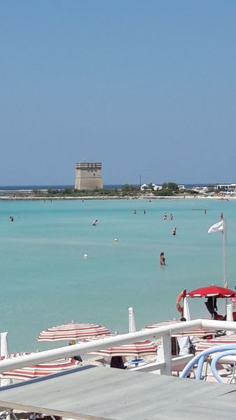 foto 16 Affitto tra privati Porto Cesareo studio Puglia Lecce (provincia di) Vista nelle vicinanze