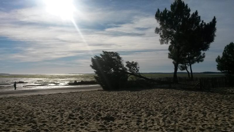 foto 15 Affitto tra privati Andernos les Bains maison Aquitania Gironda (Gironde) Spiaggia