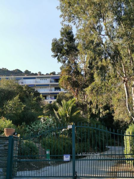 foto 2 Affitto tra privati Rayol Canadel sur Mer appartement Provenza Alpi Costa Azzurra Var