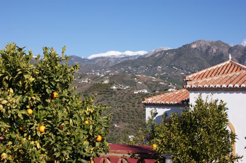 foto 22 Affitto tra privati Nerja villa Andalusia Mlaga (provincia di) Giardino