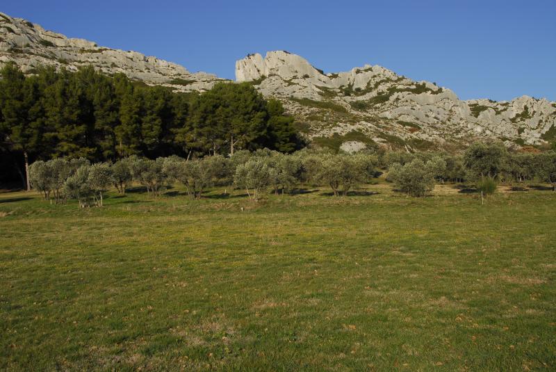 foto 21 Affitto tra privati Les Baux de Provence gite Provenza Alpi Costa Azzurra Bocche del rodano