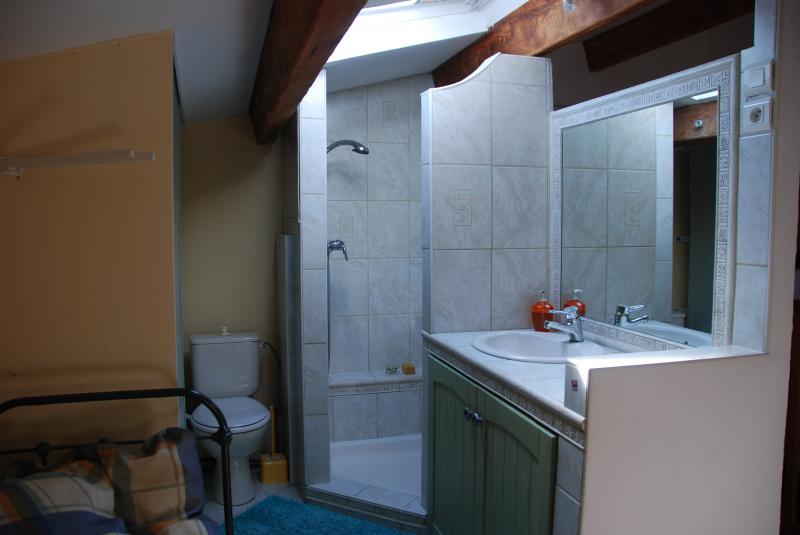 foto 4 Affitto tra privati Salon de Provence gite Provenza Alpi Costa Azzurra Bocche del rodano Bagno