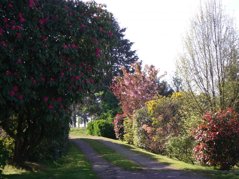 foto 14 Affitto tra privati Douarnenez maison Bretagna Finistre Giardino