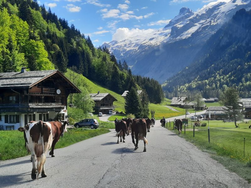 foto 4 Affitto tra privati Le Grand Bornand appartement Rodano Alpi Alta Savoia Vista esterna della casa vacanze