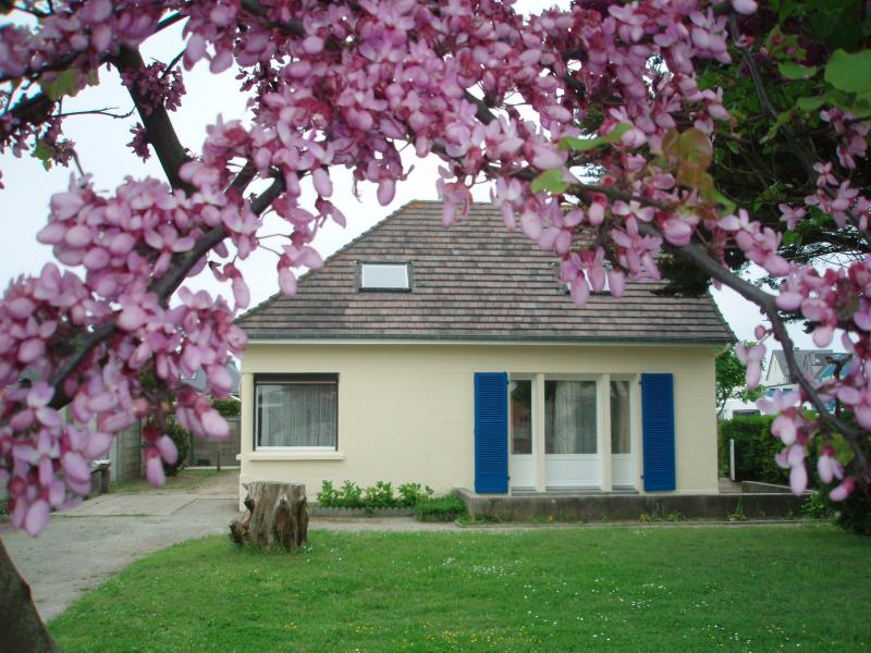 foto 3 Affitto tra privati Agon-Coutainville villa Bassa Normandia Manche Giardino