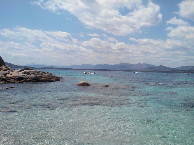 foto 10 Affitto tra privati Golfo Aranci appartement Sardegna Olbia Tempio (provincia di) Spiaggia