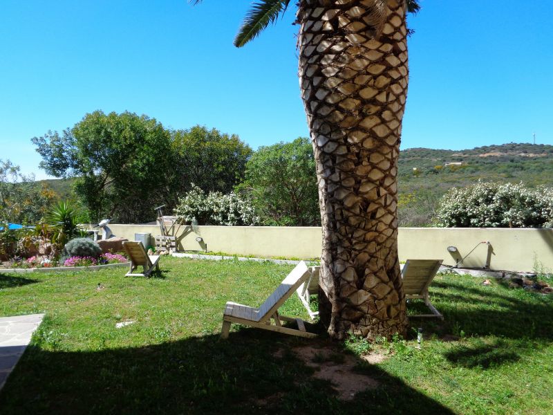 foto 13 Affitto tra privati Golfo Aranci appartement Sardegna Olbia Tempio (provincia di) Giardino