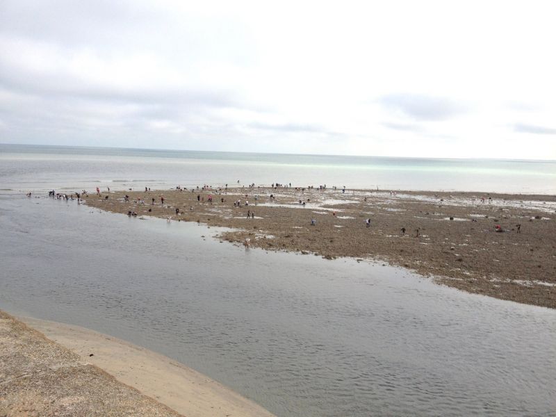 foto 19 Affitto tra privati Le Trport maison Alta Normandia Senna Marittima (Seine-Maritime) Spiaggia