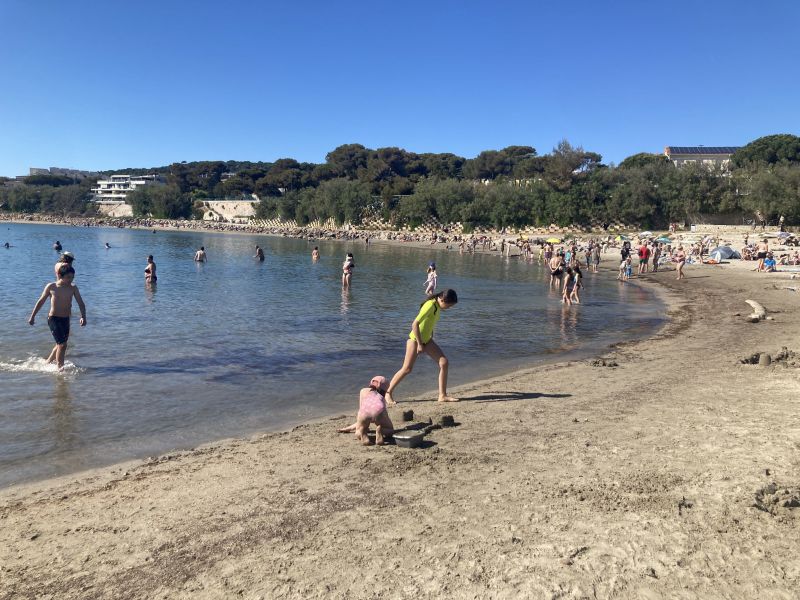 foto 20 Affitto tra privati Sete appartement Linguadoca-Rossiglione Hrault Spiaggia