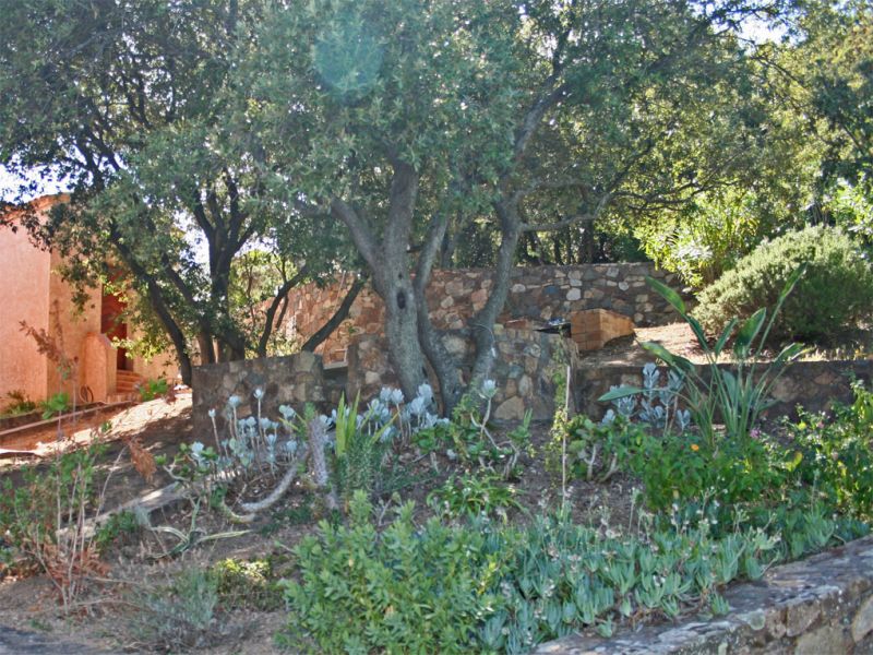 foto 12 Affitto tra privati Calvi studio Corsica Corsica settentrionale Vista esterna della casa vacanze