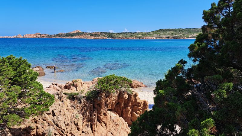 foto 6 Affitto tra privati Isola Rossa appartement Sardegna Olbia Tempio (provincia di) Spiaggia