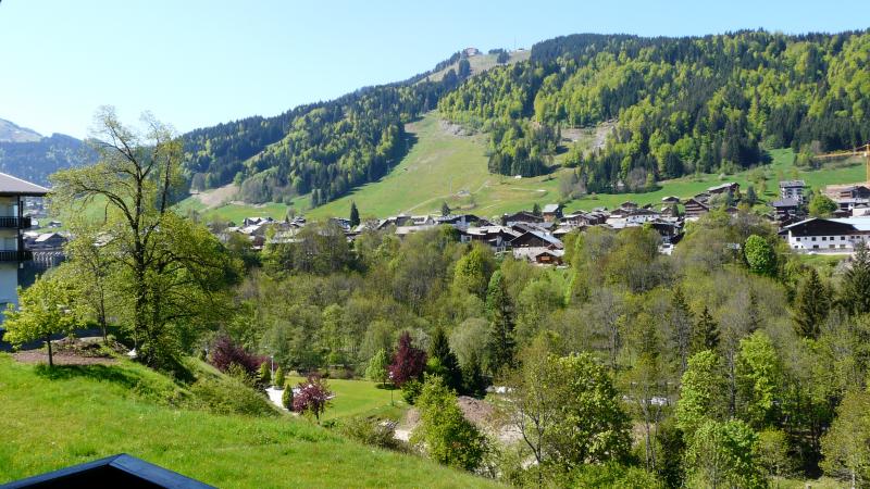 foto 1 Affitto tra privati Morzine appartement Rodano Alpi Alta Savoia Vista dalla casa vacanze