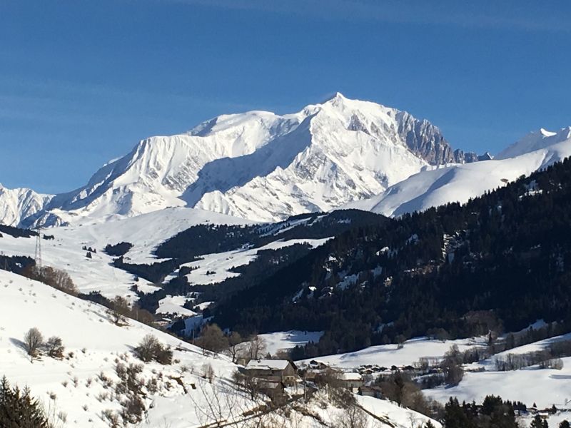 foto 12 Affitto tra privati Praz sur Arly appartement Rodano Alpi Alta Savoia Vista esterna della casa vacanze