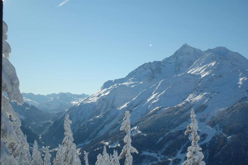 foto 1 Affitto tra privati La Rosire 1850 studio Rodano Alpi Savoia Vista dalla casa vacanze