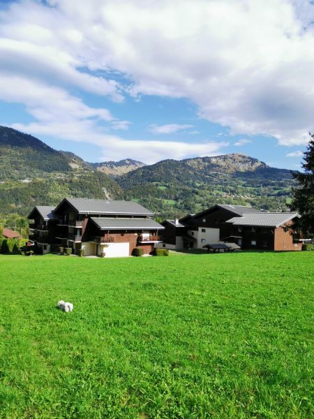 foto 15 Affitto tra privati Morillon Grand Massif studio Rodano Alpi Alta Savoia