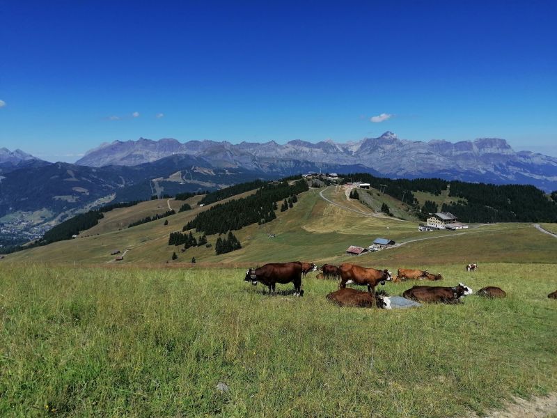 foto 8 Affitto tra privati Saint Gervais Mont-Blanc studio Rodano Alpi Alta Savoia Vista nelle vicinanze