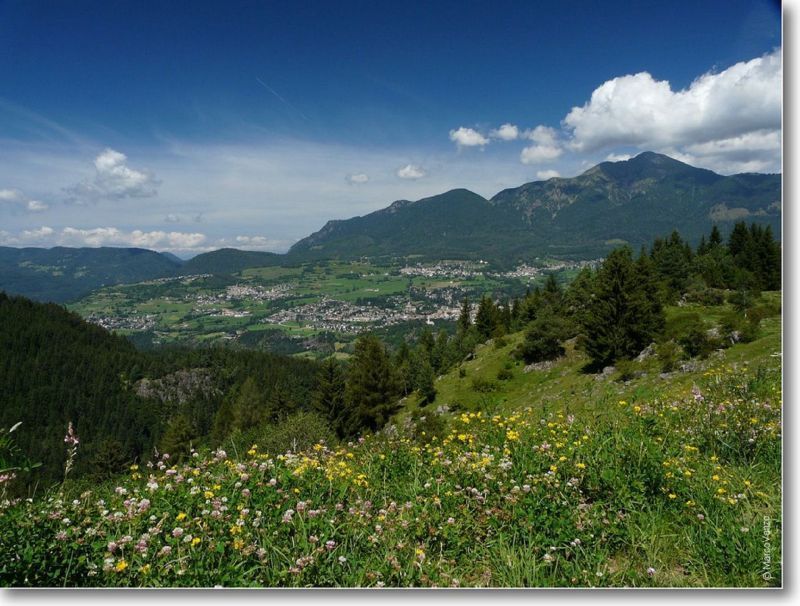 foto 19 Affitto tra privati Ville di Fiemme appartement Trentino Alto Adige Trento (provincia di) Vista esterna della casa vacanze