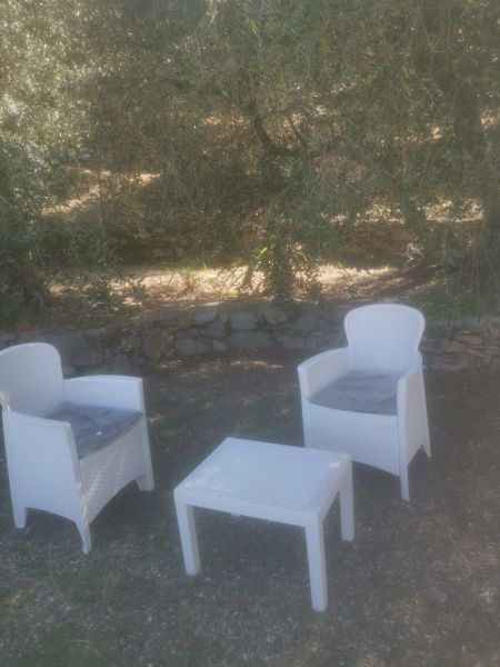 foto 7 Affitto tra privati Dolcedo appartement Liguria Imperia (provincia di) Giardino