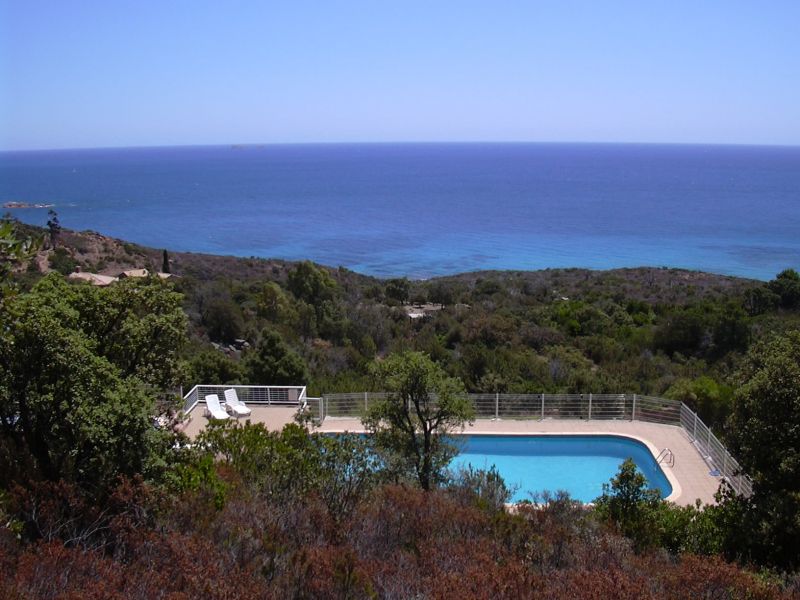 foto 8 Affitto tra privati Porto Vecchio maison Corsica Corsica del Sud Piscina