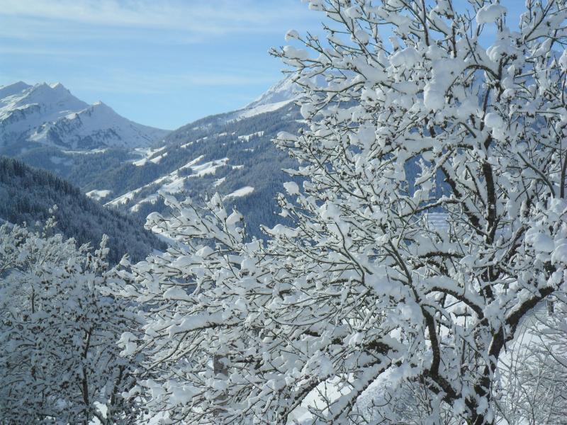 foto 18 Affitto tra privati Les Saisies appartement Rodano Alpi Savoia Vista nelle vicinanze