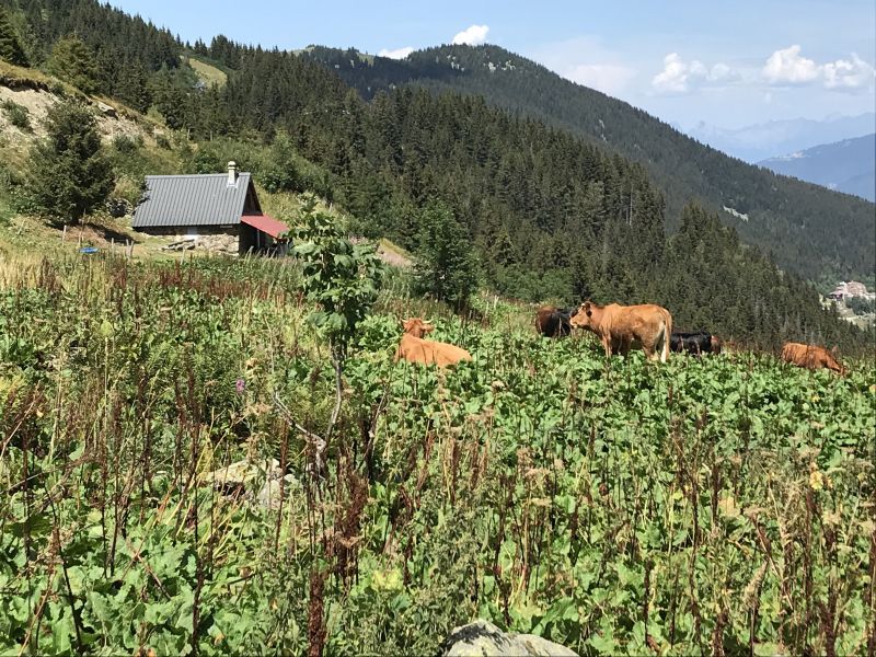 foto 17 Affitto tra privati Les Sept Laux appartement Rodano Alpi Isre Altra vista