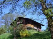 Affitto case vacanza Alpi Francesi per 4 persone: appartement n. 28936