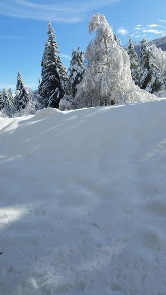 foto 5 Affitto tra privati Serre Chevalier studio Provenza Alpi Costa Azzurra Alte Alpi (Hautes-Alpes) Giardino