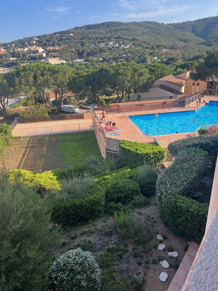 foto 3 Affitto tra privati Les Issambres appartement Provenza Alpi Costa Azzurra Var Piscina