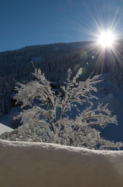 foto 12 Affitto tra privati La Tania appartement Rodano Alpi Savoia