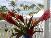 Affitto case vacanza vista sul mare Antille: appartement n. 31362