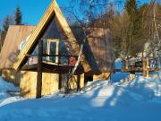 Affitto case chalet vacanza Peisey-Vallandry: chalet n. 320