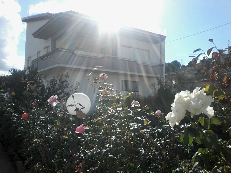 foto 6 Affitto tra privati Castellammare del Golfo villa Sicilia Trapani (provincia di) Vista esterna della casa vacanze