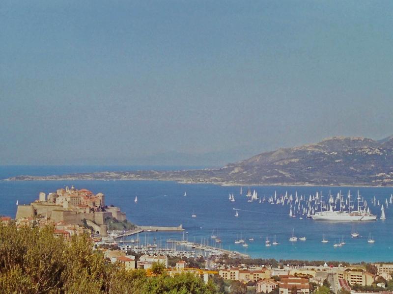 foto 2 Affitto tra privati Calvi appartement Corsica Corsica settentrionale Vista dalla casa vacanze