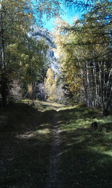 foto 13 Affitto tra privati Termignon la Vanoise gite Rodano Alpi Savoia