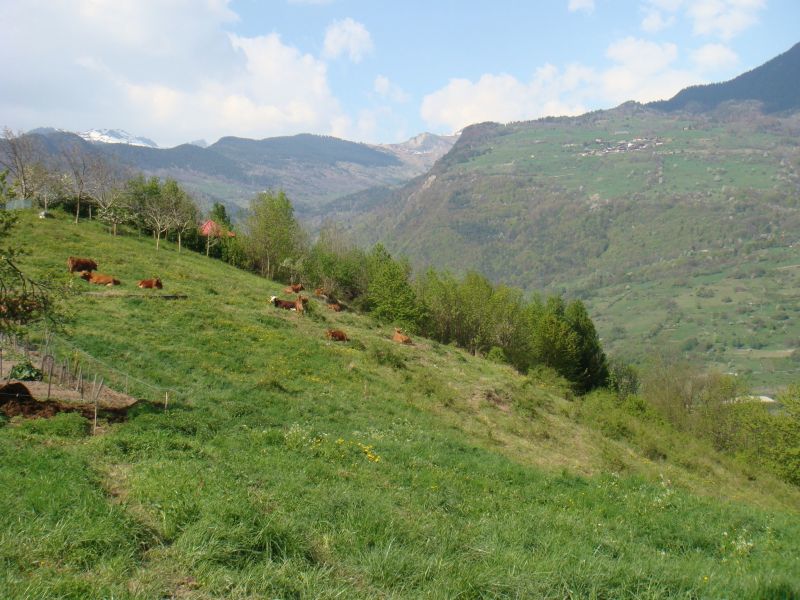 foto 25 Affitto tra privati Valmorel gite Rodano Alpi Savoia Altra vista