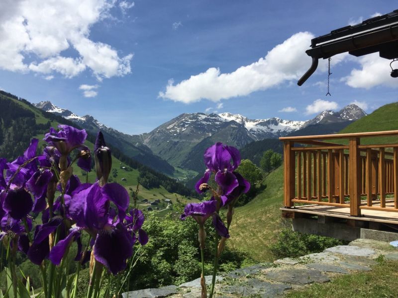 foto 2 Affitto tra privati Areches Beaufort chalet Rodano Alpi Savoia Vista dalla casa vacanze