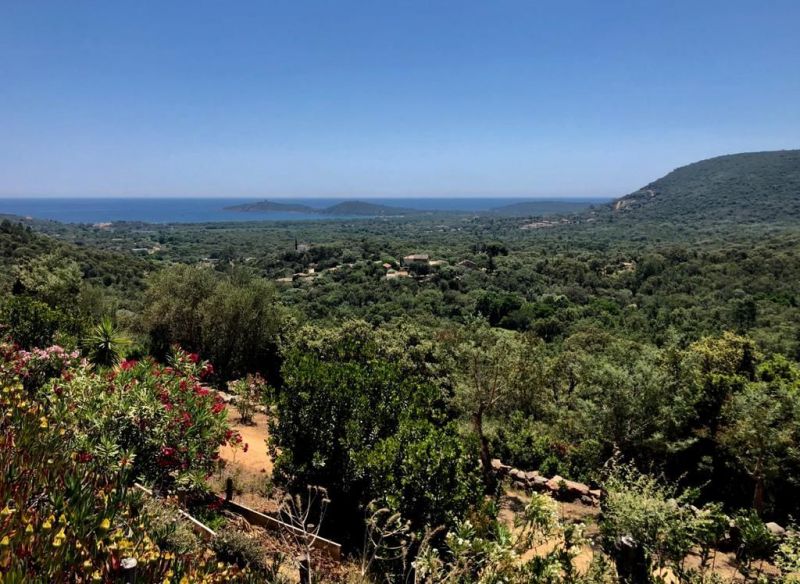 foto 4 Affitto tra privati Sainte Lucie de Porto Vecchio maison Corsica Corsica del Sud Vista dal terrazzo