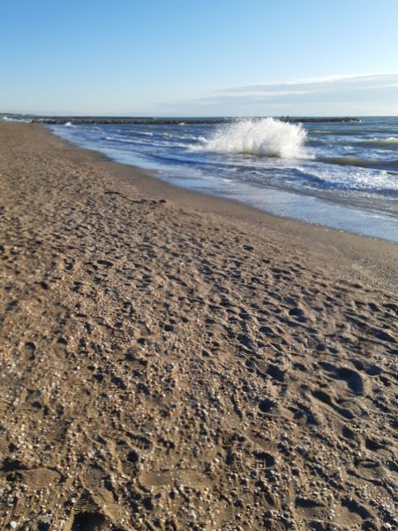 foto 25 Affitto tra privati Eraclea Mare appartement Veneto Venezia (provincia di) Spiaggia