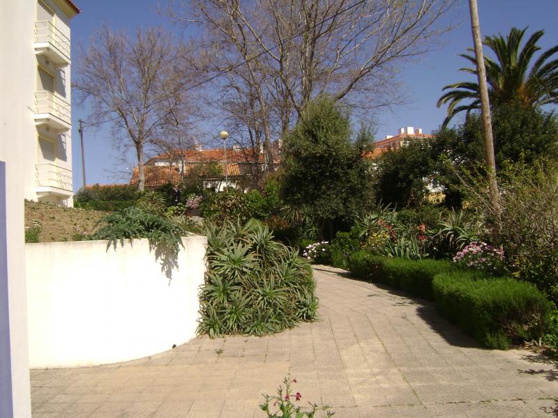 foto 8 Affitto tra privati Vila nova de Milfontes appartement Alentejo  Giardino