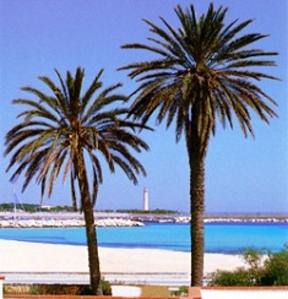 foto 11 Affitto tra privati San Vito lo Capo maison Sicilia Trapani (provincia di) Spiaggia