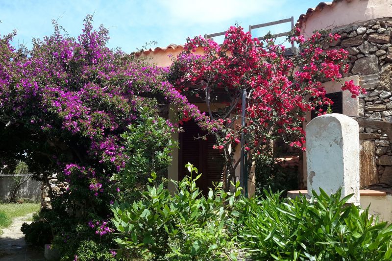 foto 0 Affitto tra privati Golfo Aranci villa Sardegna Olbia Tempio (provincia di) Entrata