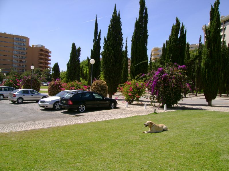 foto 18 Affitto tra privati Vilamoura appartement Algarve  Vista nelle vicinanze