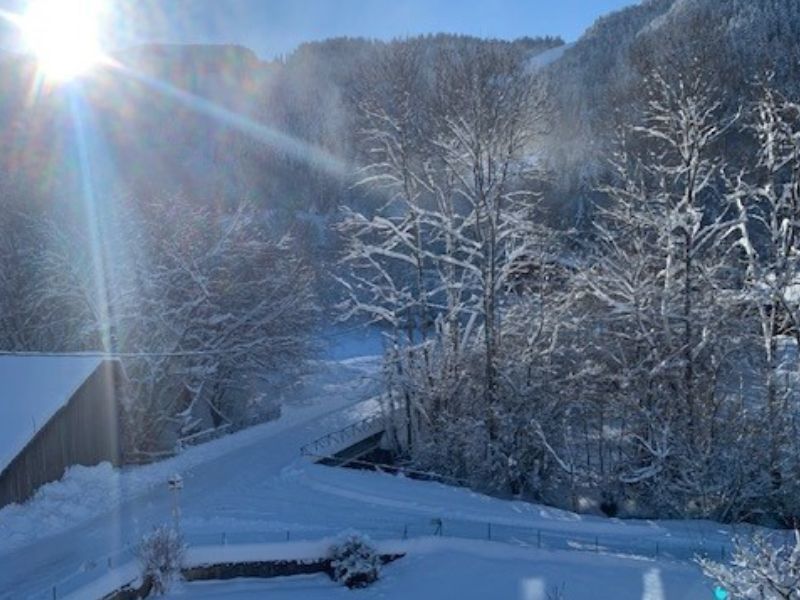 foto 0 Affitto tra privati Bernex appartement Rodano Alpi Alta Savoia Vista dalla casa vacanze