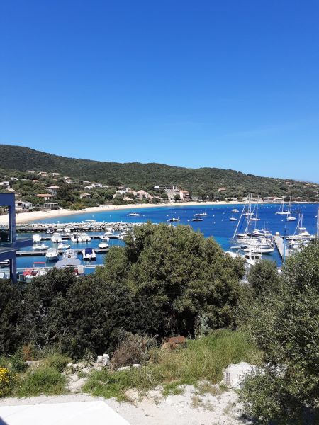 foto 8 Affitto tra privati Porto Pollo maison Corsica Corsica del Sud Vista dal terrazzo