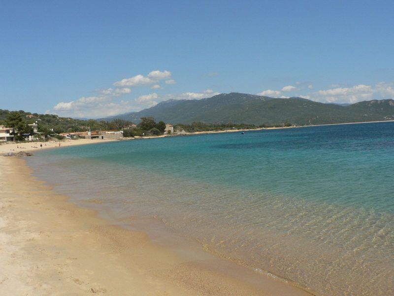 foto 14 Affitto tra privati Porto Pollo maison Corsica Corsica del Sud Spiaggia