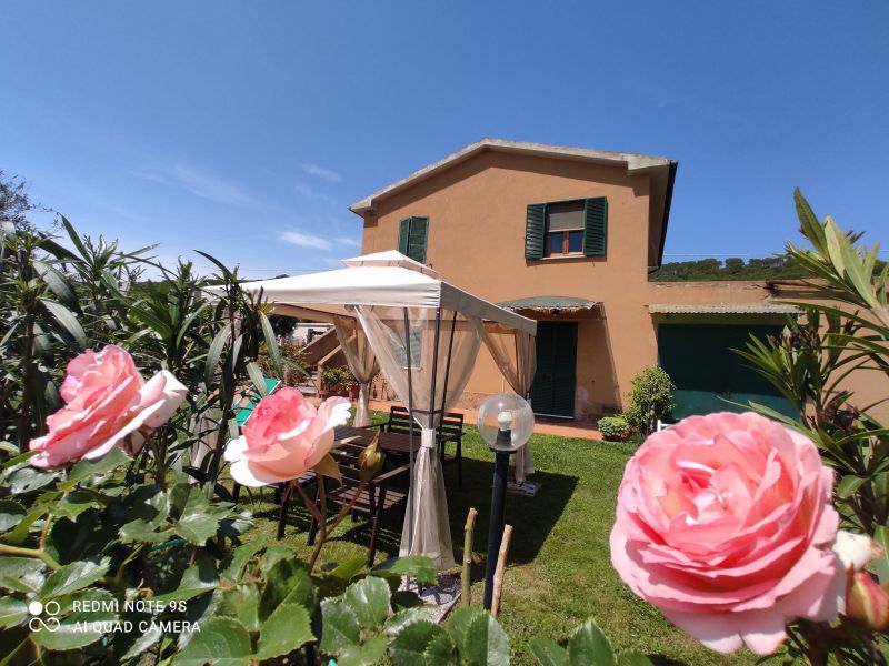 foto 5 Affitto tra privati Castiglione della Pescaia maison Toscana Grosseto (provincia di) Vista esterna della casa vacanze