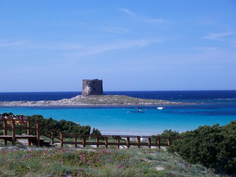 foto 8 Affitto tra privati Stintino appartement Sardegna Sassari (provincia di) Spiaggia