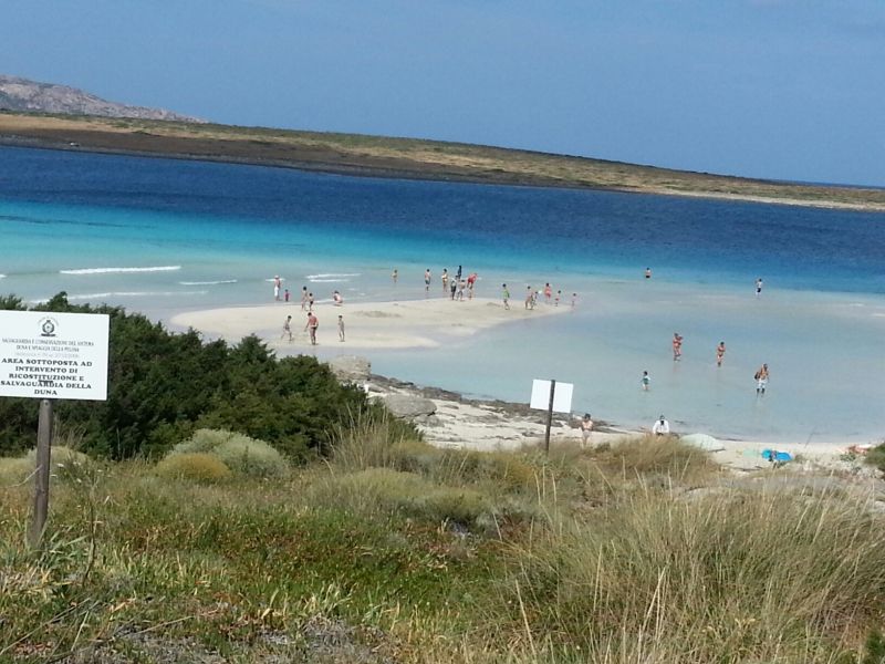 foto 13 Affitto tra privati Stintino appartement Sardegna Sassari (provincia di) Spiaggia