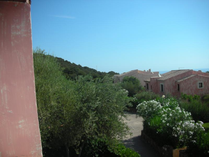 foto 17 Affitto tra privati Budoni appartement Sardegna Olbia Tempio (provincia di) Giardino