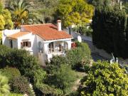 Affitto case case vacanza Alicante (Provincia Di): villa n. 53480
